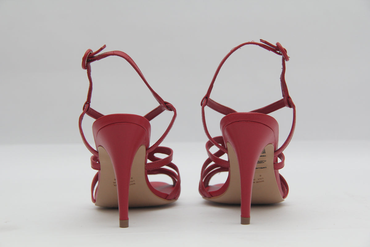 Dream Red