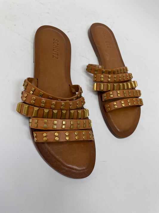 Roma Camel